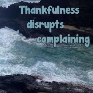 Gratitude-thankfulness disrupts complaints