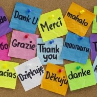 Day 10 – Say Thank-You All Day Long! (MASSIVE Gratitude!)