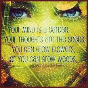 Thoughts-garden and weeds